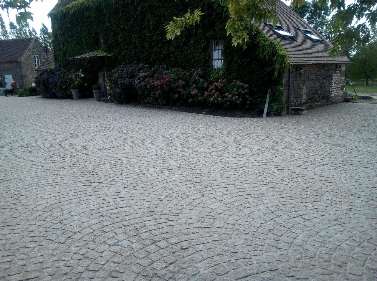 Granitowa nawierzchnia ułożona w łukowaty wzór przed budynkiem obrośniętym bluszczem i kwiatami.