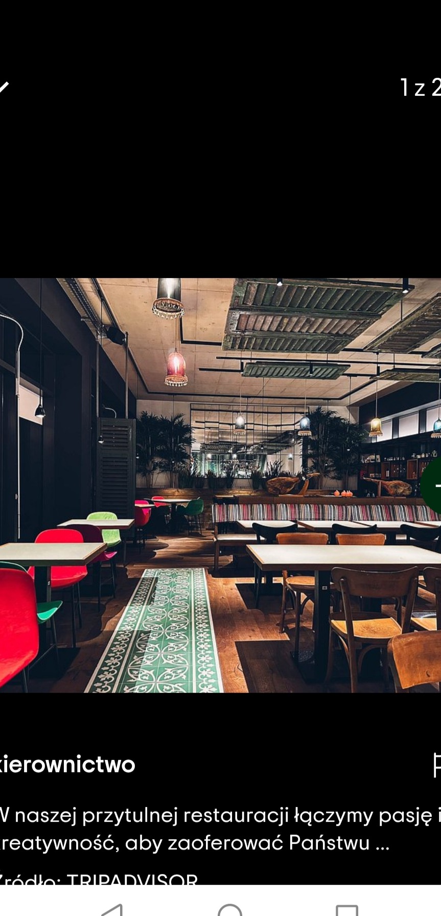 Wnętrze restauracji z drewnianą podłogą, stolikami z krzesłami w żywych kolorach oraz zielonym dywanem. Dekoracyjne oświetlenie i rośliny dodają charakteru.