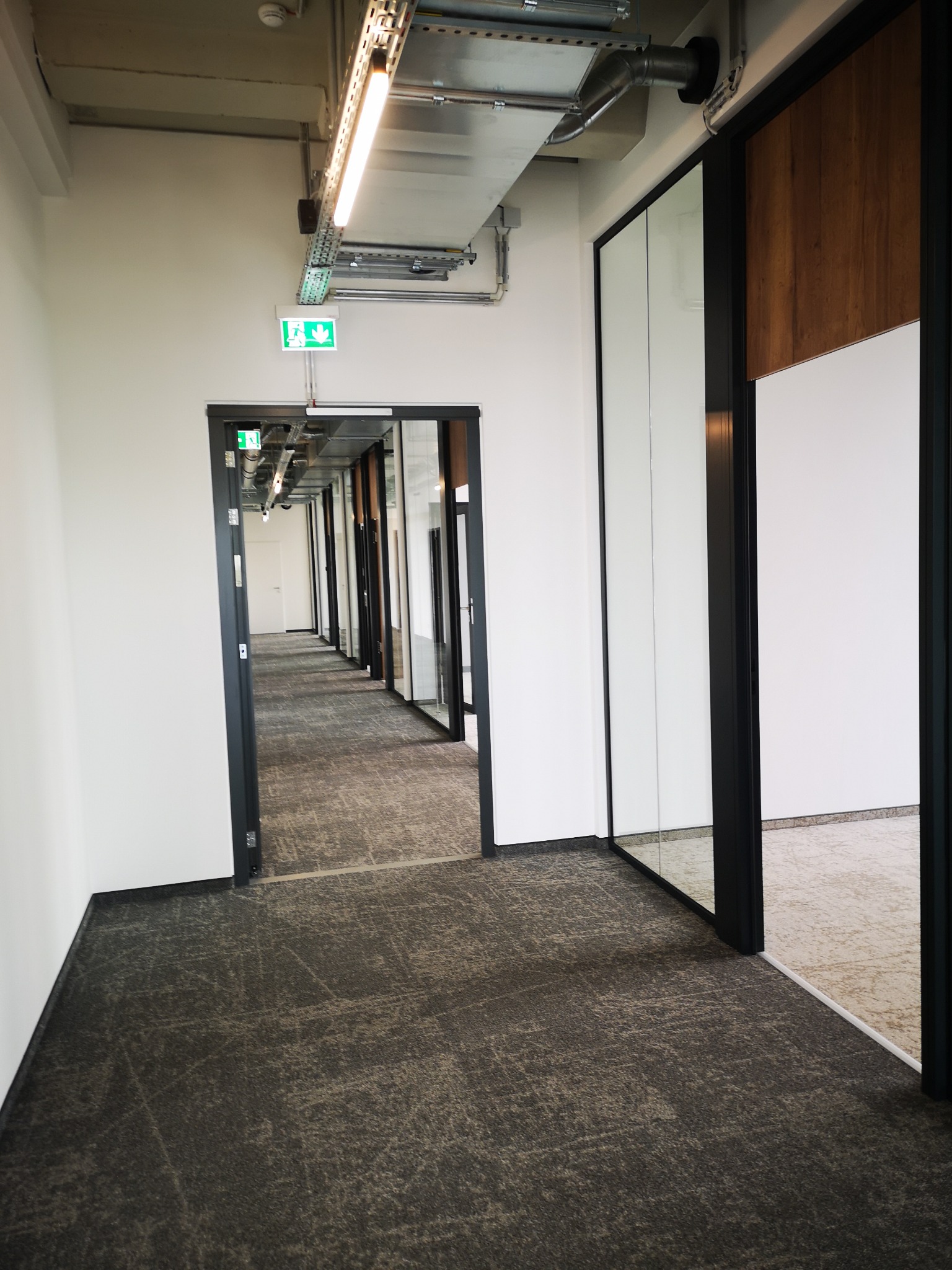 Długi korytarz biurowy z rzędem przeszklonych drzwi, oświetleniem sufitowym i wykładziną w odcieniach szarości. Widoczny znak ewakuacyjny.