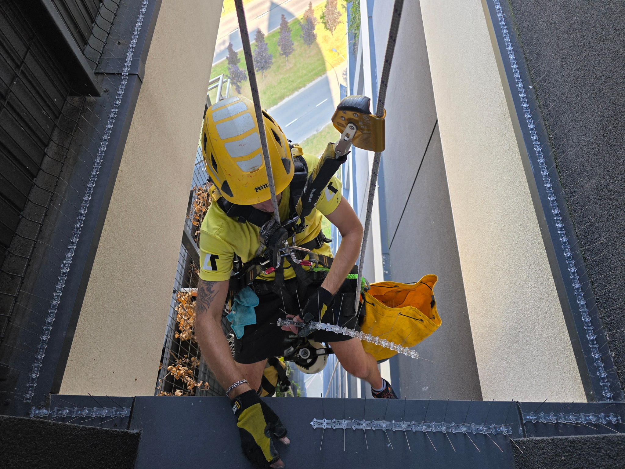 Montaż zabezpieczeń przeciw ptakom