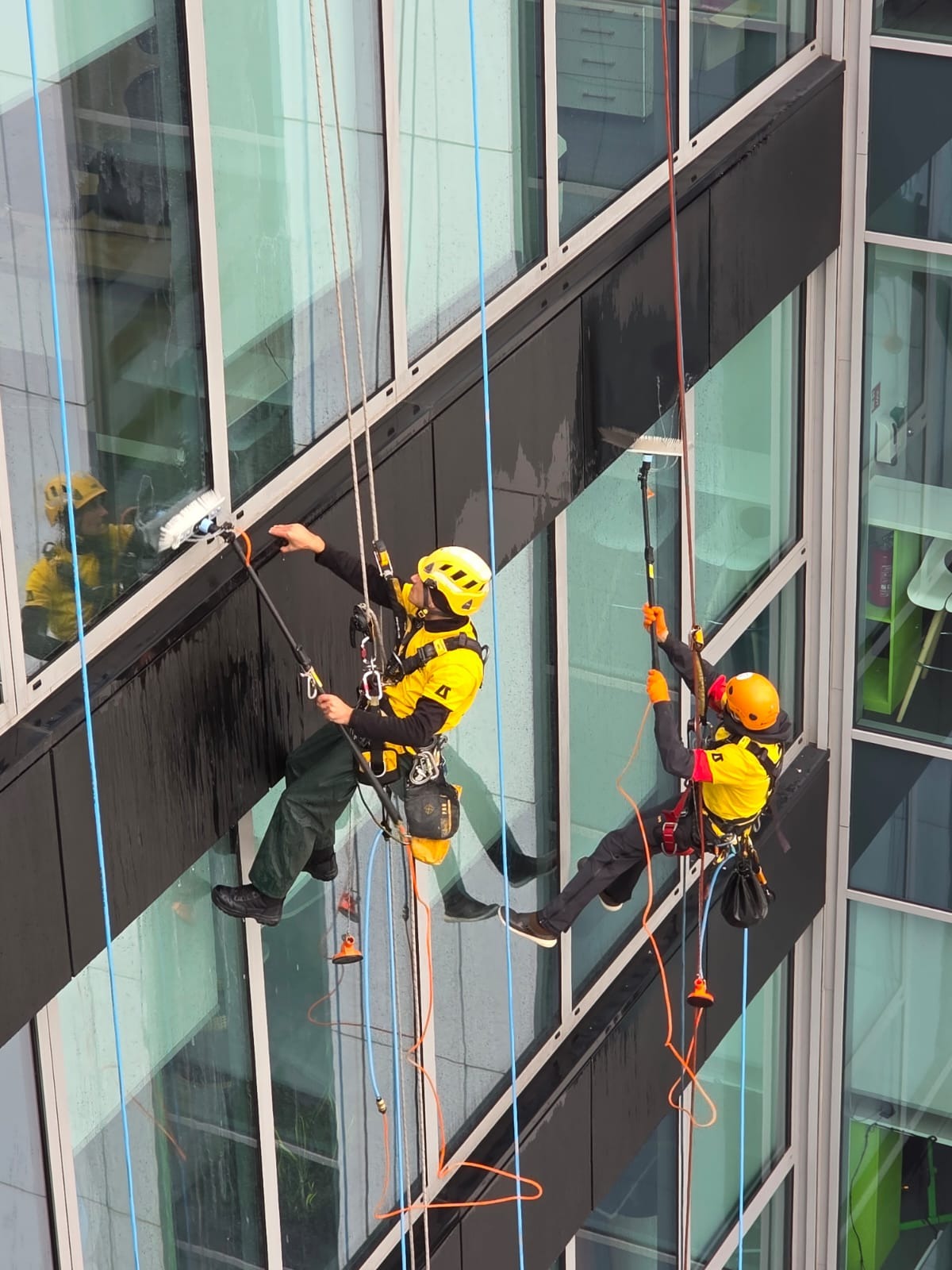 Dwóch alpinistów w żółtych kombinezonach czyści okna biurowca, używając specjalistycznego sprzętu i lin. Widoczne odbicie jednego z nich w oknie.
