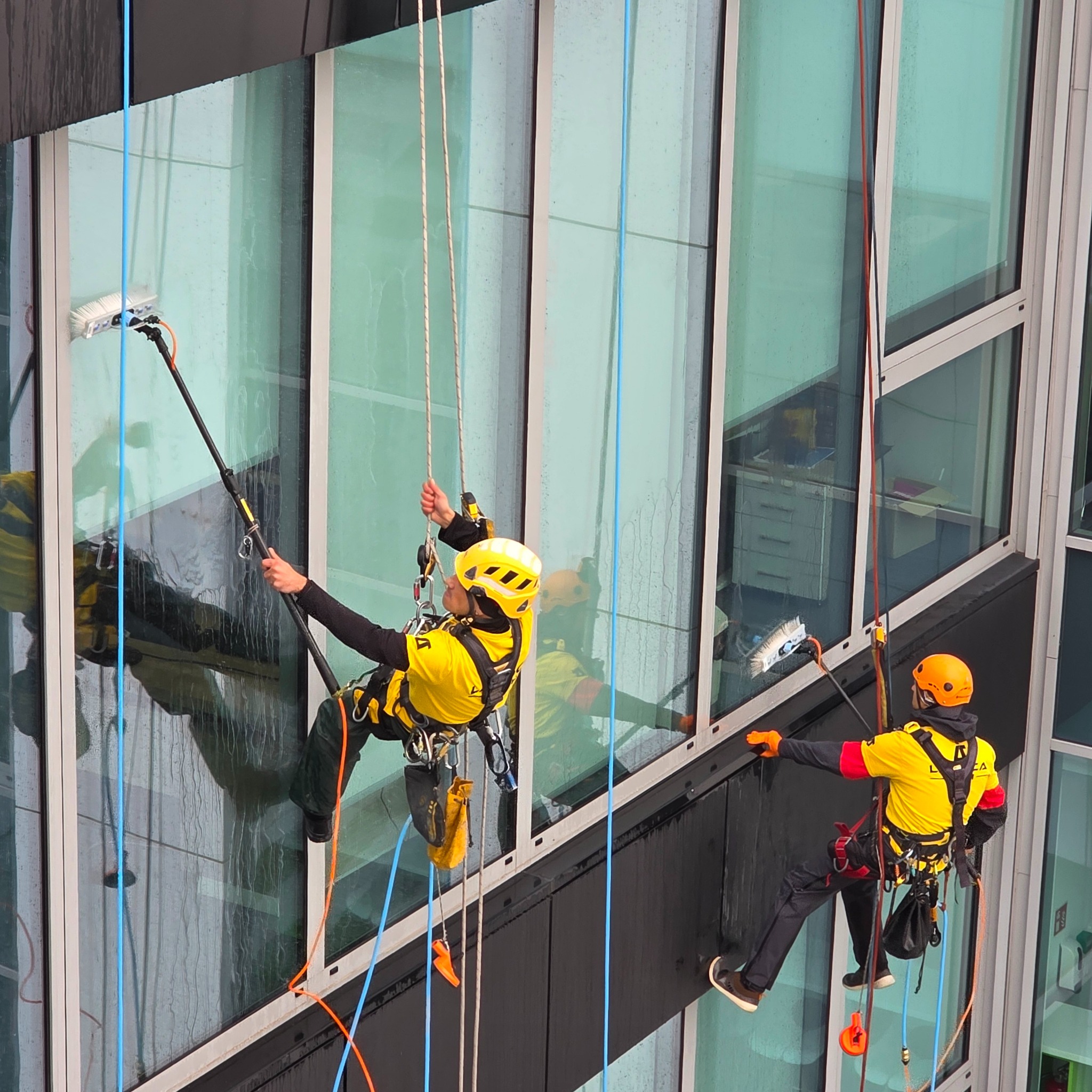 Dwóch alpinistów w żółtych strojach czyści okna wieżowca, wisząc na linach. Jeden używa długiej szczotki, drugi czyści ręcznie. Widoczne smugi wody na szybach.