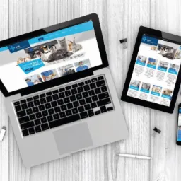 Strony internetowe stargard