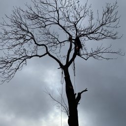 Krzysztof Sławniak Prace Wysokościowe - Usługi w ogrodzie Jasło