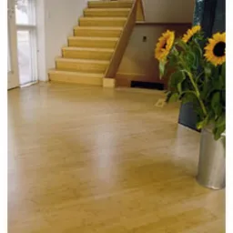 ANKARs.c.- KOMPLEKSOWE REMONTY MIESZKAŃ