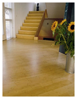 ANKARs.c.- KOMPLEKSOWE REMONTY MIESZKAŃ