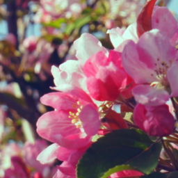 filmujemyeventy Warszawa 3