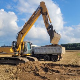 MARKOP MARIUSZ RUDNIK - Sadzenie drzew i krzew&oacute;w Ostrzesz&oacute;w