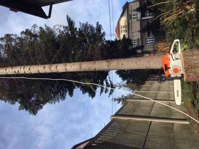 Ścięte drzewo leżące na dachu z piłą łańcuchową Stihl obok pnia, w tle budynek mieszkalny i błękitne niebo.