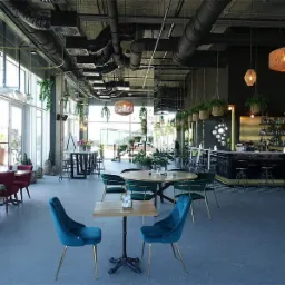 Wnętrze restauracji lub baru z gładką szarą podłogą, okrągłymi i kwadratowymi stolikami z welurowymi krzesłami w odcieniach zieleni i granatu, bar z podświetlanymi półkami i wiszącymi roślinami.