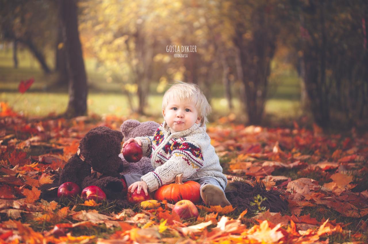 Mały blond chłopiec w swetrze z jabłkiem siedzi na dywanie z liści i dyni obok pluszowych misiów podczas sesji plenerowej w Mysłowicach.