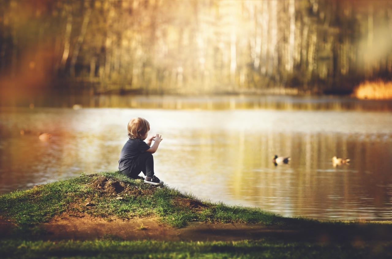 Chłopiec siedzi na wzgórzu nad jeziorem, w tle las z rozmytymi drzewami w jesiennych barwach, na wodzie pływają kaczki.