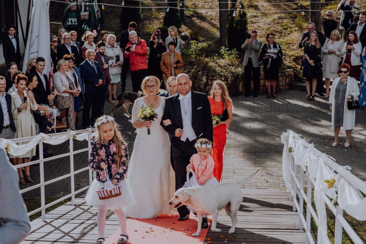 Para młoda z drużbami i psem idzie po czerwonym dywanie, otoczona przez gości weselnych.