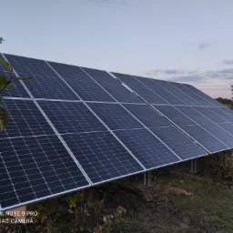 Dwa rzędy paneli fotowoltaicznych ustawione na metalowych wspornikach na trawiastym terenie, widoczne gałęzie drzew i niebo o zmierzchu.