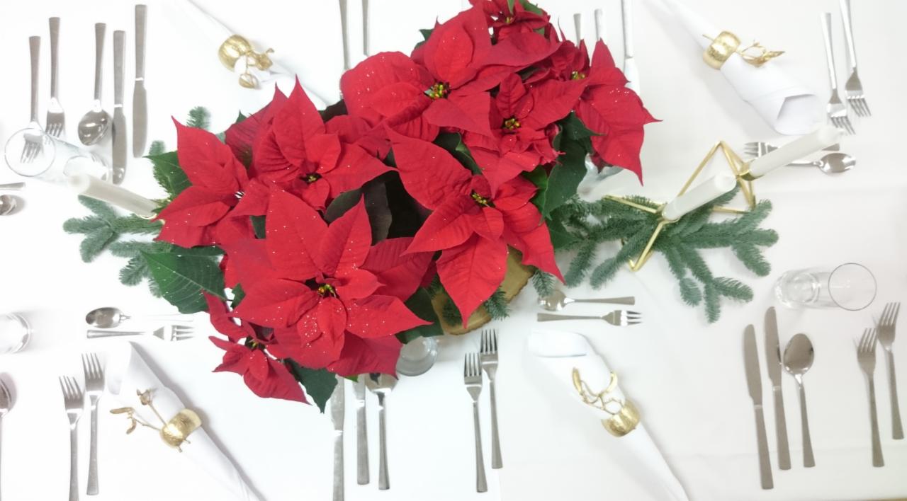 Uroczysty stół nakryty na przyjęcie, z centralną dekoracją z czerwonych gwiazd betlejemskich, zielonych gałązek, białych świec w złotych świecznikach i serwetek ze złotymi pierścieniami w kształcie...