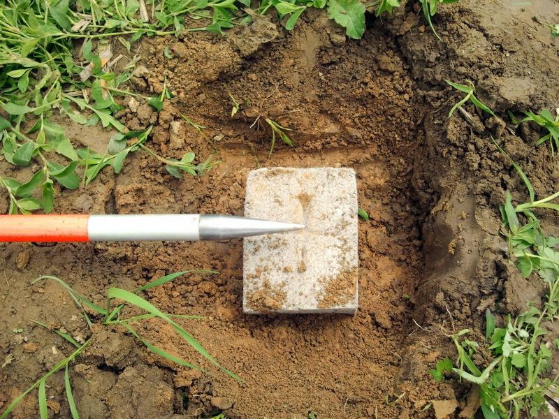 Metalowy pręt z pomarańczową rękojeścią wbity w betonowy słupek umieszczony w ziemi, otoczony trawą i resztkami roślin.