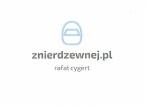 Logo firmy z adresem strony internetowej 'znierdzewnej.pl' i imieniem 'rafał cygert' poniżej, na białym tle.