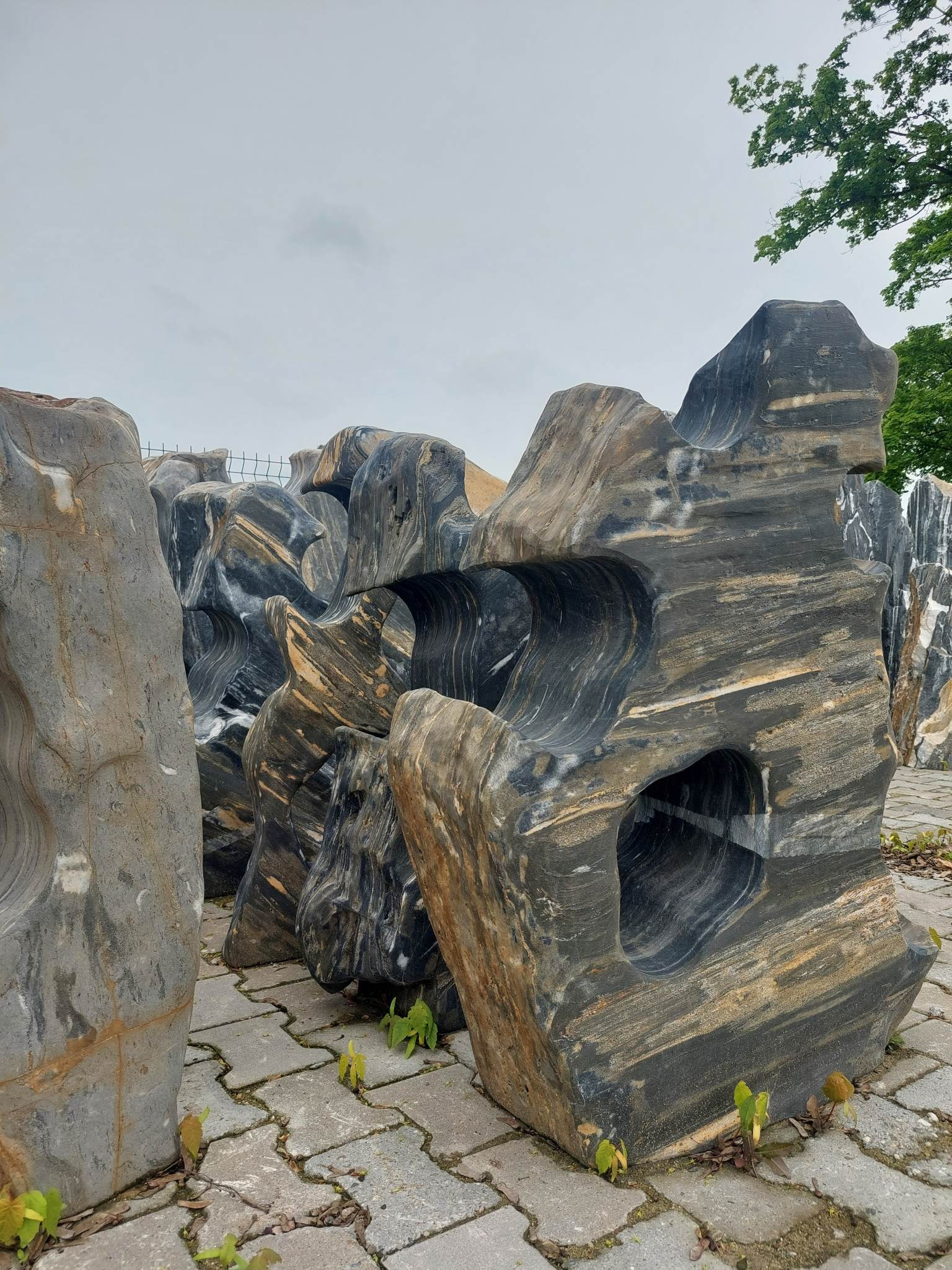 Ozdobne, rzeźbione kamienie z otworami, ułożone na kostce brukowej, z widocznymi młodymi roślinami wyrastającymi spomiędzy kostek.