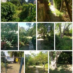 Pielęgnacja ogrodów Długołęka 2