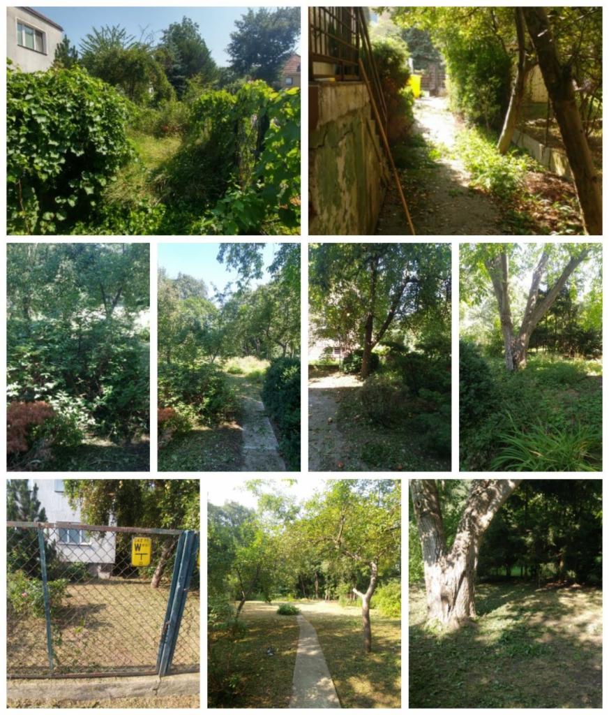 Kompozycja z dziewięciu kadrów ukazujących tereny zielone: zarośnięty ogród z budynkiem w tle, wąską ścieżkę między budynkami, alejki w parkach i ogrodach, drzewa i krzewy w różnym stanie utrzymania.