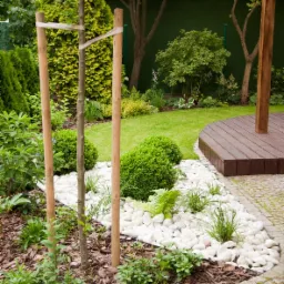 Młode drzewko podparte drewnianymi palikami w ogrodzie z białymi kamieniami i elementami drewnianej podłogi, widok na trawnik i zielony płot.