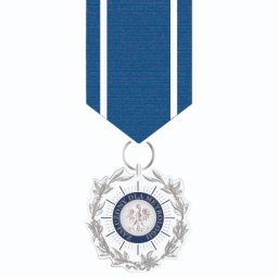 VISIUM - Usługi graficzne, DTP skład publikacji. - Projekt odznaczenia