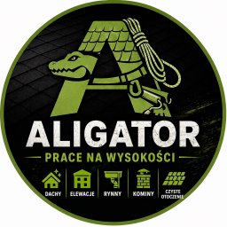 ALIGATOR Alicja Gatlik - Czyszczenie Dach&oacute;wki Jasienica