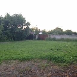 Wycinka drzew Tarnowskie Góry 2