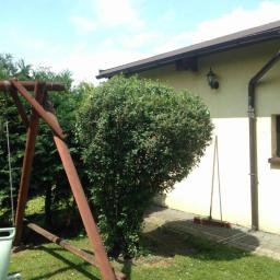 Dawid Biały - Krzew ozdobny w kształcie kuli przy budynku, obok huśtawka ogrodowa, na trawniku leży miotła.