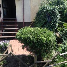 Dawid Biały - Fragment ogrodu przed domem z niskim drewnianym płotkiem, zielonymi krzewami, kwiatami w donicach na ceglanym podłożu i schodami wejściowymi do budynku.