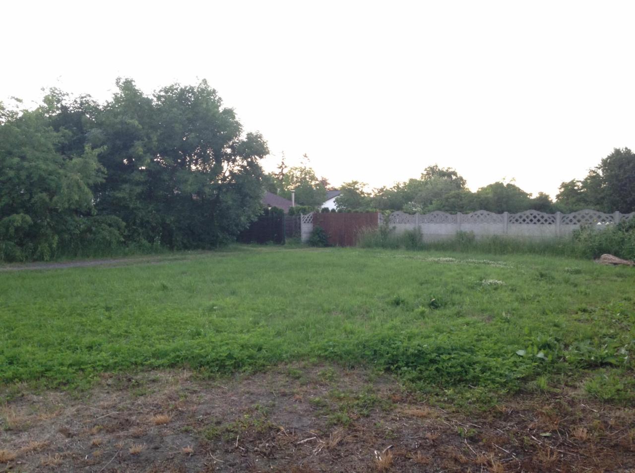 Nierówny trawnik przed posesją z widocznym betonowym ogrodzeniem i drzewami w tle.