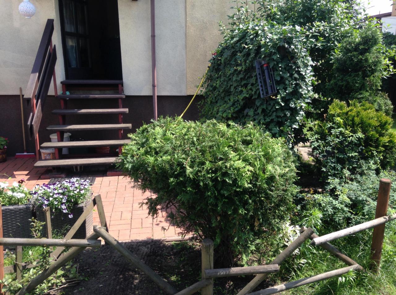 Fragment ogrodu przed domem z niskim drewnianym płotkiem, zielonymi krzewami, kwiatami w donicach na ceglanym podłożu i schodami wejściowymi do budynku.