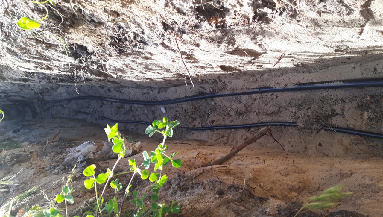 Dwa czarne kable ułożone w wykopie ziemnym, widoczne z poziomu gruntu z elementami roślinności w kadrze.