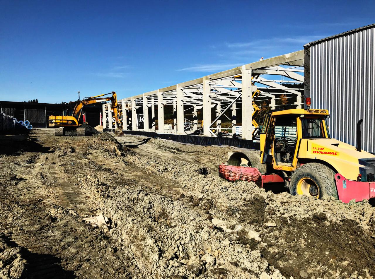 Żółty walec drogowy Dynapac i koparka pracują na placu budowy z widoczną konstrukcją stalową budynku w tle, błękitne niebo.