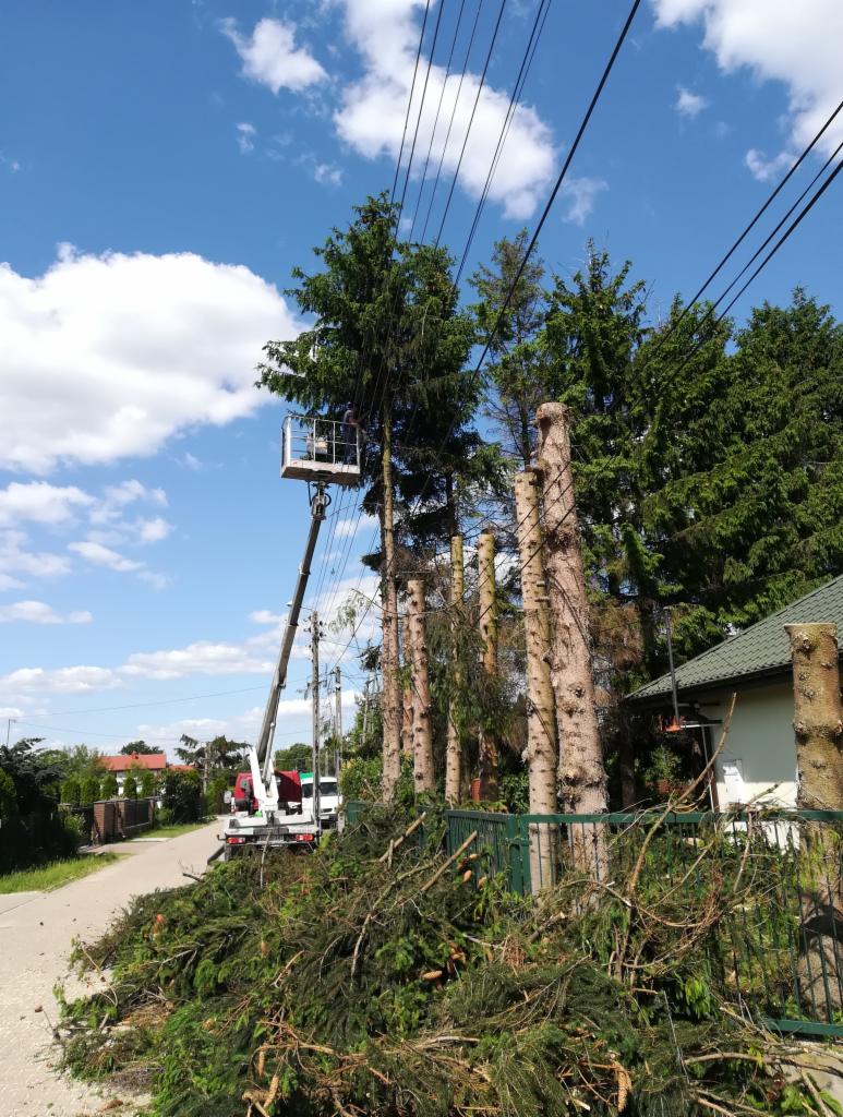 Prace przycinania drzew z podnośnika koszowego w pobliżu linii energetycznych, obok leżą ścięte gałęzie, w tle widoczne pnie drzew i dom.