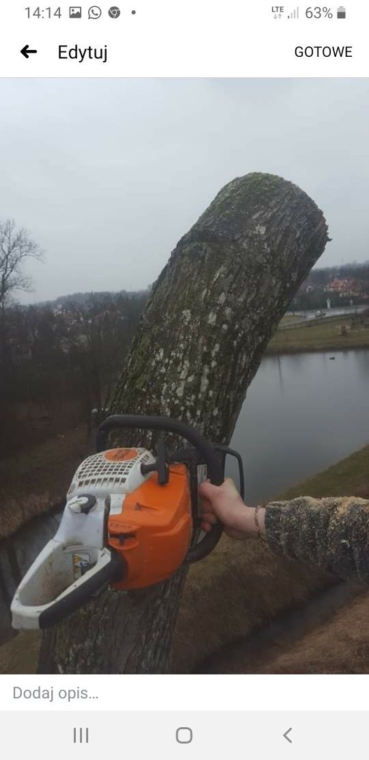 Pomarańczowo-biała piła łańcuchowa marki Stihl zagłębia się w ukośnie ścięty pień drzewa pokryty mchem, w tle widoczny staw i zabudowania na wzgórzu w pochmurny dzień.