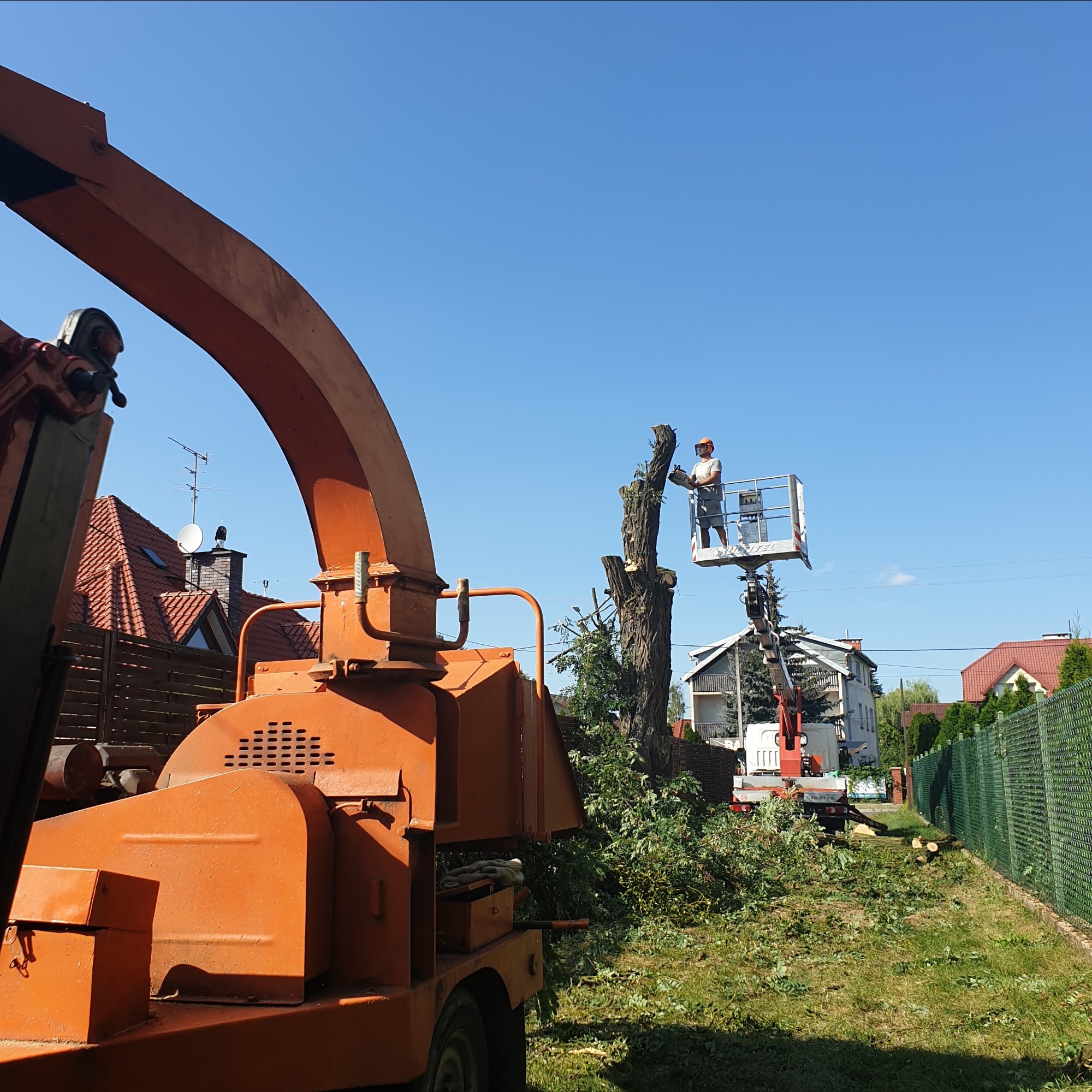 Pracownik na podnośniku koszowym przycina gałęzie drzewa piłą spalinową, obok stoi pomarańczowy rębak do gałęzi, w tle domy jednorodzinne i zielony płot.