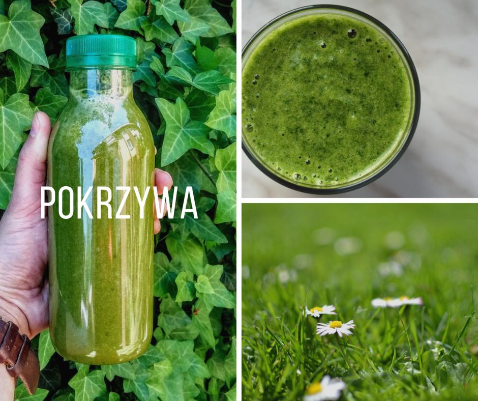 Kompozycja trzech ujęć: butelka zielonego soku z napisem 'POKRZYWA' na tle bluszczu, szklanka zielonego soku z góry oraz zbliżenie na stokrotki na trawie.