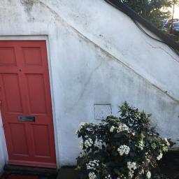 Propainting Sp z.o.o - Czerwone drzwi wejściowe do budynku z widocznymi spękaniami na białej ścianie, obok kwitnący krzew