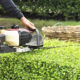 Formowanie żywopłotu przy użyciu elektrycznych nożyc, widoczny kosz wiklinowy na ścięte gałęzie, równa linia cięcia.