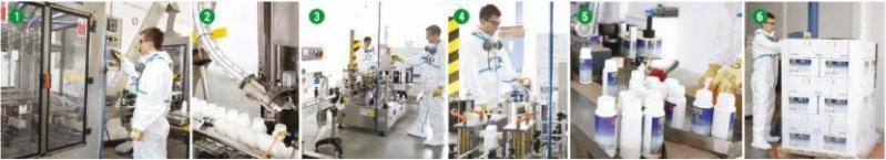 Sześć kadrów z linii produkcyjnej: od napełniania opakowań przez etykietowanie po układanie gotowych produktów w kartony przez pracowników w kombinezonach ochronnych.