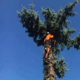 Natura - Producent Trawy z Rolki Głogów Małopolski