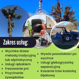 Pielęgnacja ogrodów Głogów Małopolski 1