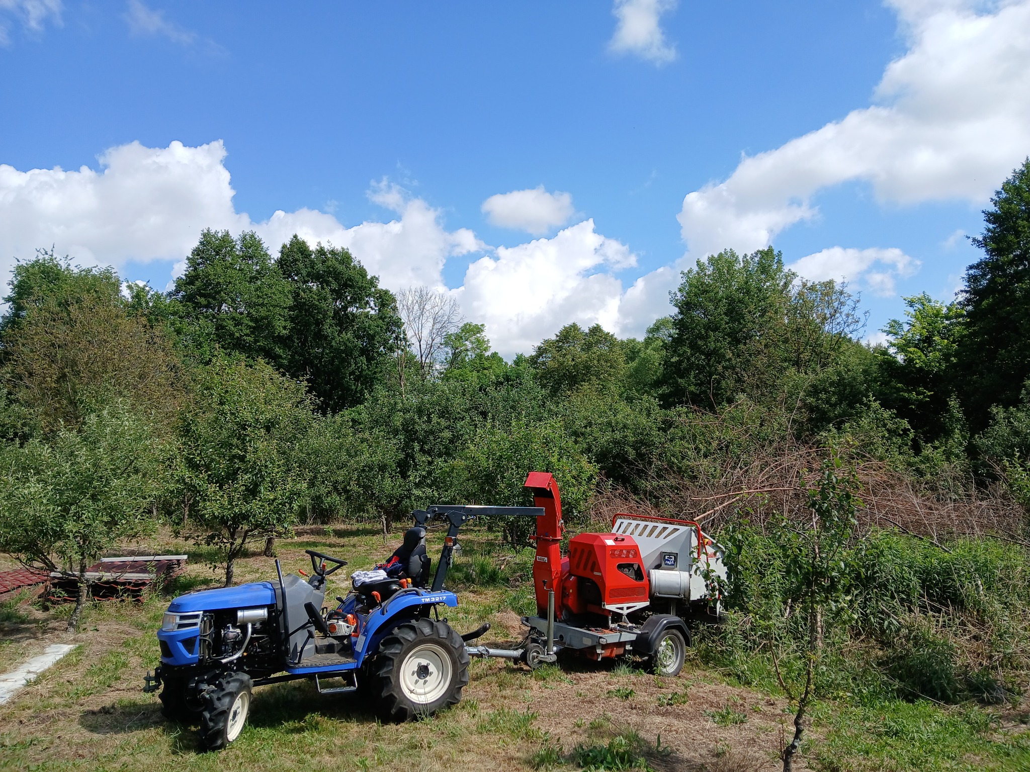 Niebieski traktor z podczepioną czerwoną rębarką do gałęzi na tle sadu i składowanych gałęzi.