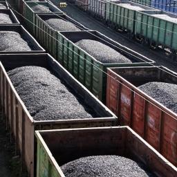 Ekibastuz-Partner-Servis (KAZACHSTAN) - Rzepak Ekibastuz