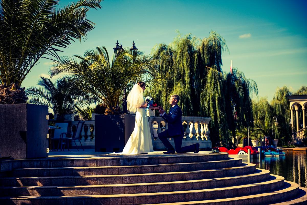 Zaręczyny na schodach z widokiem na park: mężczyzna klęczy przed kobietą w białej sukni ślubnej, w tle palmy i altana nad wodą z łódkami.