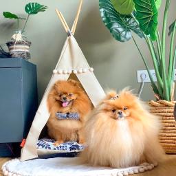 Akcesoria zoologiczne Słupno 2