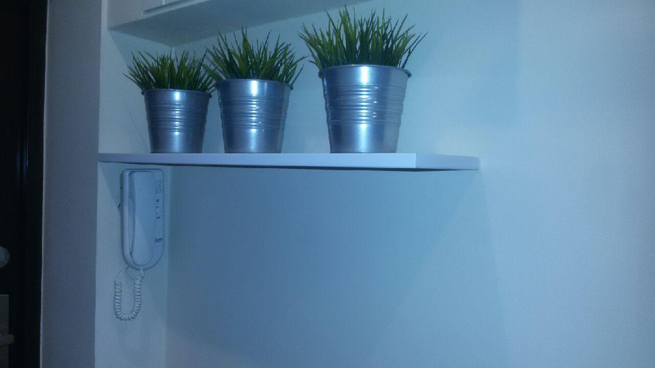 Biała półka z trzema srebrnymi doniczkami z zielonymi roślinami, zamontowana na niebieskiej ścianie, obok domofonu.