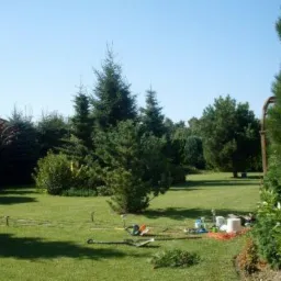 Rozległy ogród z zielonym trawnikiem, licznymi drzewami iglastymi i krzewami, narzędzia ogrodnicze rozłożone na trawie, widoczne zraszacze wystające z ziemi, sugerujące prace związane z nawadnianiem.
