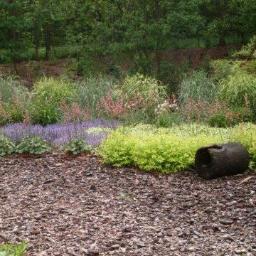 Pielęgnacja ogrodów Kłodawa 2